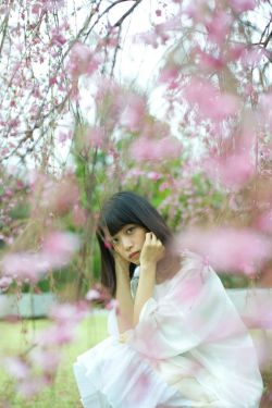 陆小凤与花满楼电视剧